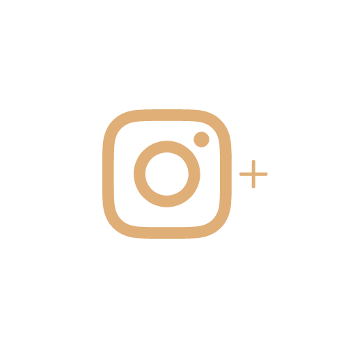 Instagram follow icon